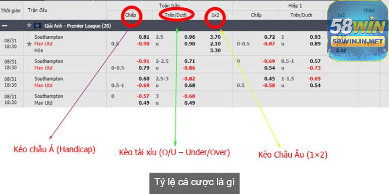 Tỷ lệ cá cược thể hiện số tiền đặt cược và số tiền có thể thắng
